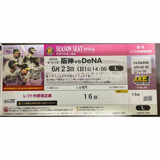 ハンシンタイガース(阪神タイガース)の6/23(日)阪神vs DeNA 甲子園球場 レフトスタンド(野球)