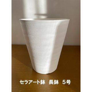 【セラアート鉢】長鉢５号 白　４個セット 観葉 多肉 植物 プラ鉢 プランター(プランター)