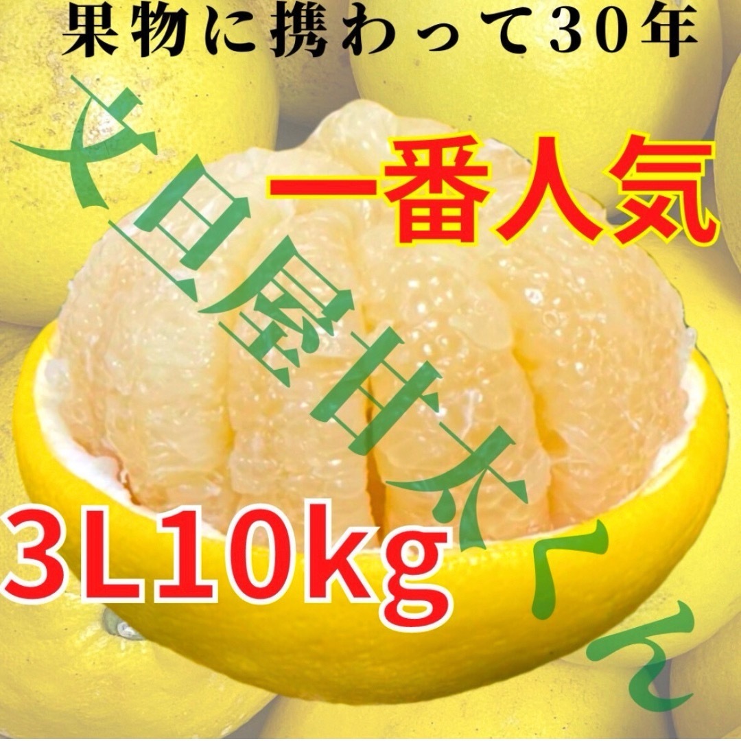 おっき〜い　土佐文旦　3L 10キロ　　13 食品/飲料/酒の食品(フルーツ)の商品写真