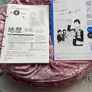 2冊！進研模試　ベネッセ総合学力テスト　ベネッセ模試 地理(語学/参考書)