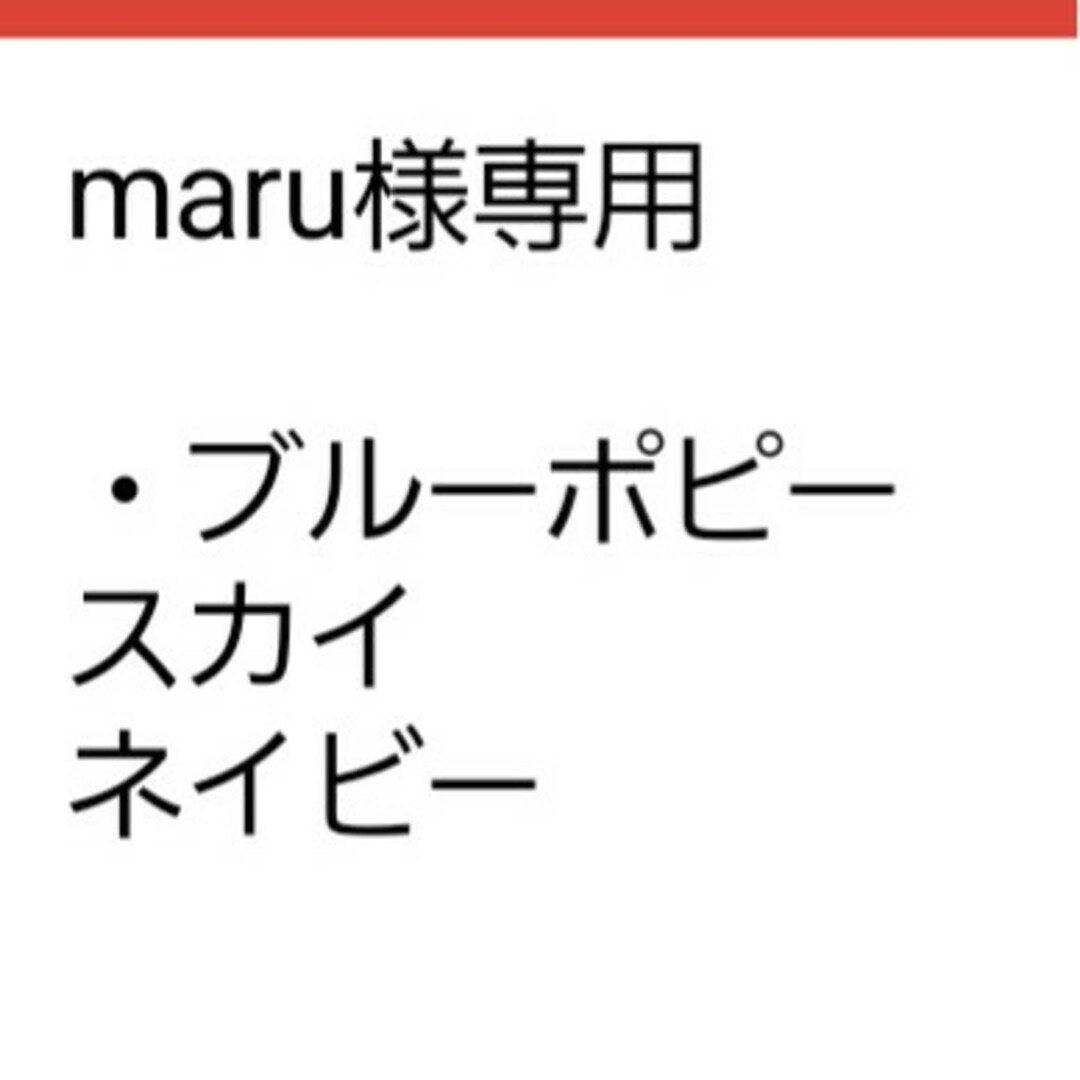 maru様専用 ハンドメイドのフラワー/ガーデン(その他)の商品写真