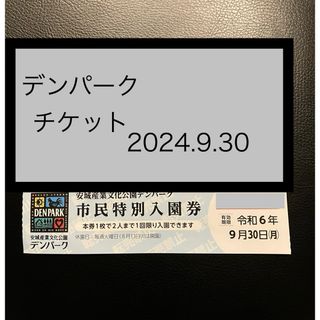 デンパークチケット　最新(その他)