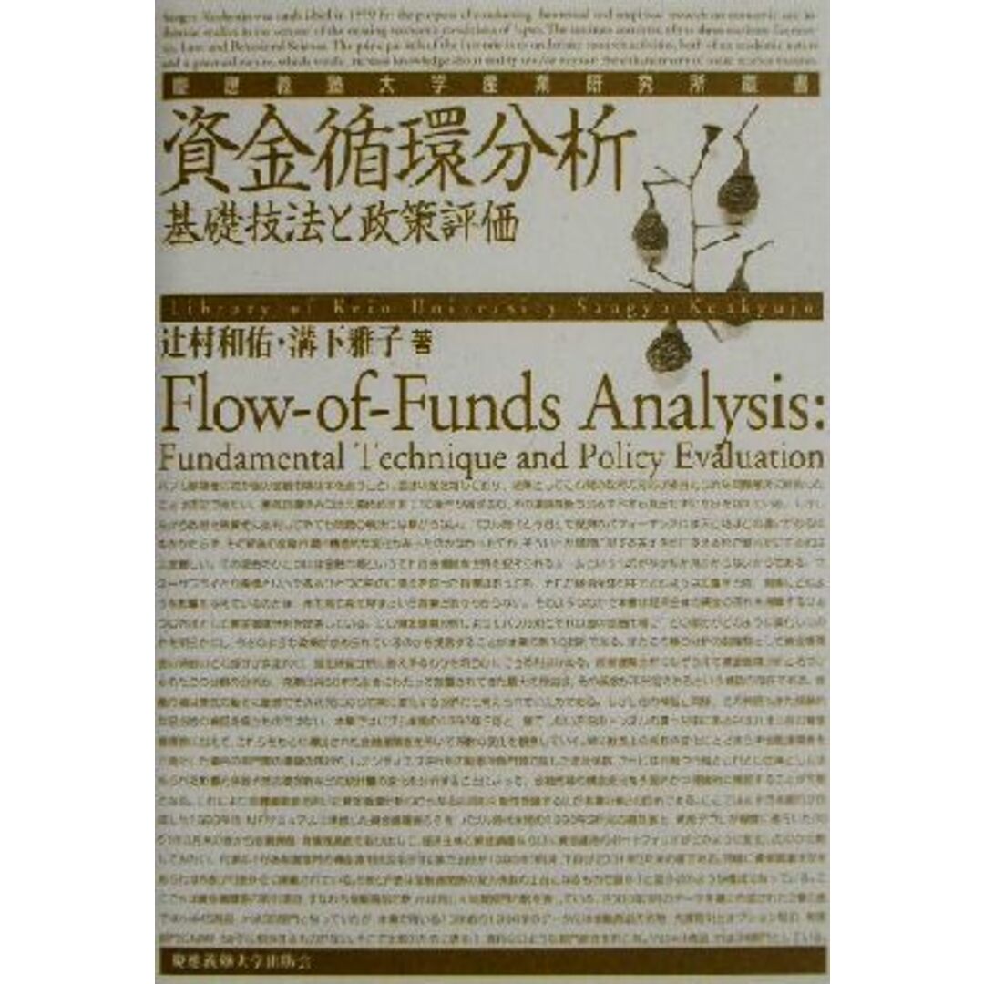 資金循環分析 基礎技法と政策評価 慶応義塾大学産業研究所叢書／辻村和佑(著者),溝下雅子(著者) エンタメ/ホビーの本(ビジネス/経済)の商品写真