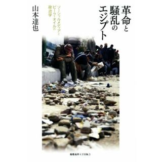 革命と騒乱のエジプト ソーシャルメディアとピーク・オイルの政治学／山本達也(著者)(人文/社会)