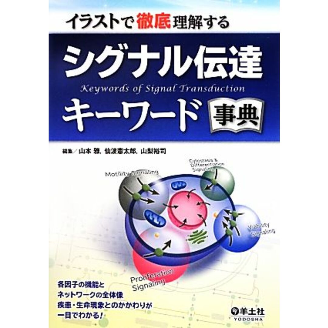 イラストで徹底理解するシグナル伝達キーワード事典／山本雅，仙波憲太郎，山梨裕司【編】 エンタメ/ホビーの本(科学/技術)の商品写真