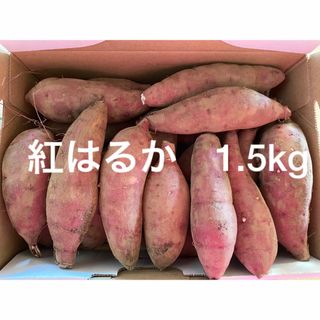 紅はるか　1.5kg さつまいも