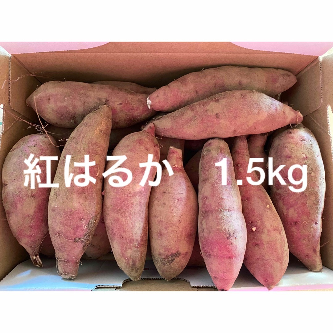 紅はるか　1.5kg さつまいも　小さいサイズ 食品/飲料/酒の食品(野菜)の商品写真