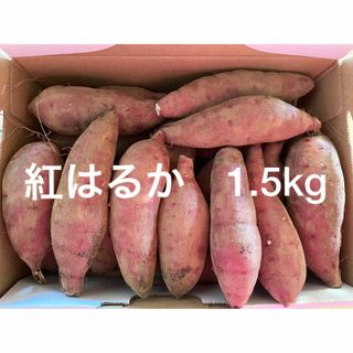 紅はるか　1.5kg さつまいも　小さいサイズ(野菜)