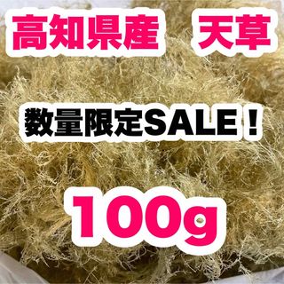 高知県産　白緑さらし天草　100g  ところてん　寒天　天然テングサ　自然食品s(乾物)