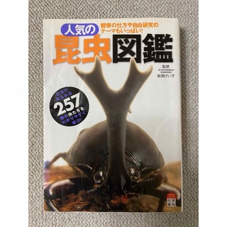 昆虫図鑑(絵本/児童書)