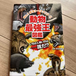 動物最強王図鑑(絵本/児童書)