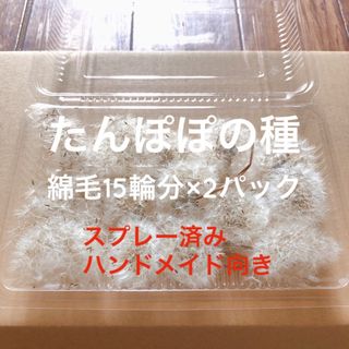 【ハンドメイド用】たんぽぽの種 綿毛15輪分×2パック タンポポ(ドライフラワー)