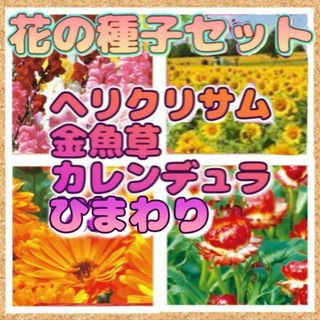 【同梱で50円値引き】2023年生産 花の種子セット　東京優芳園(その他)