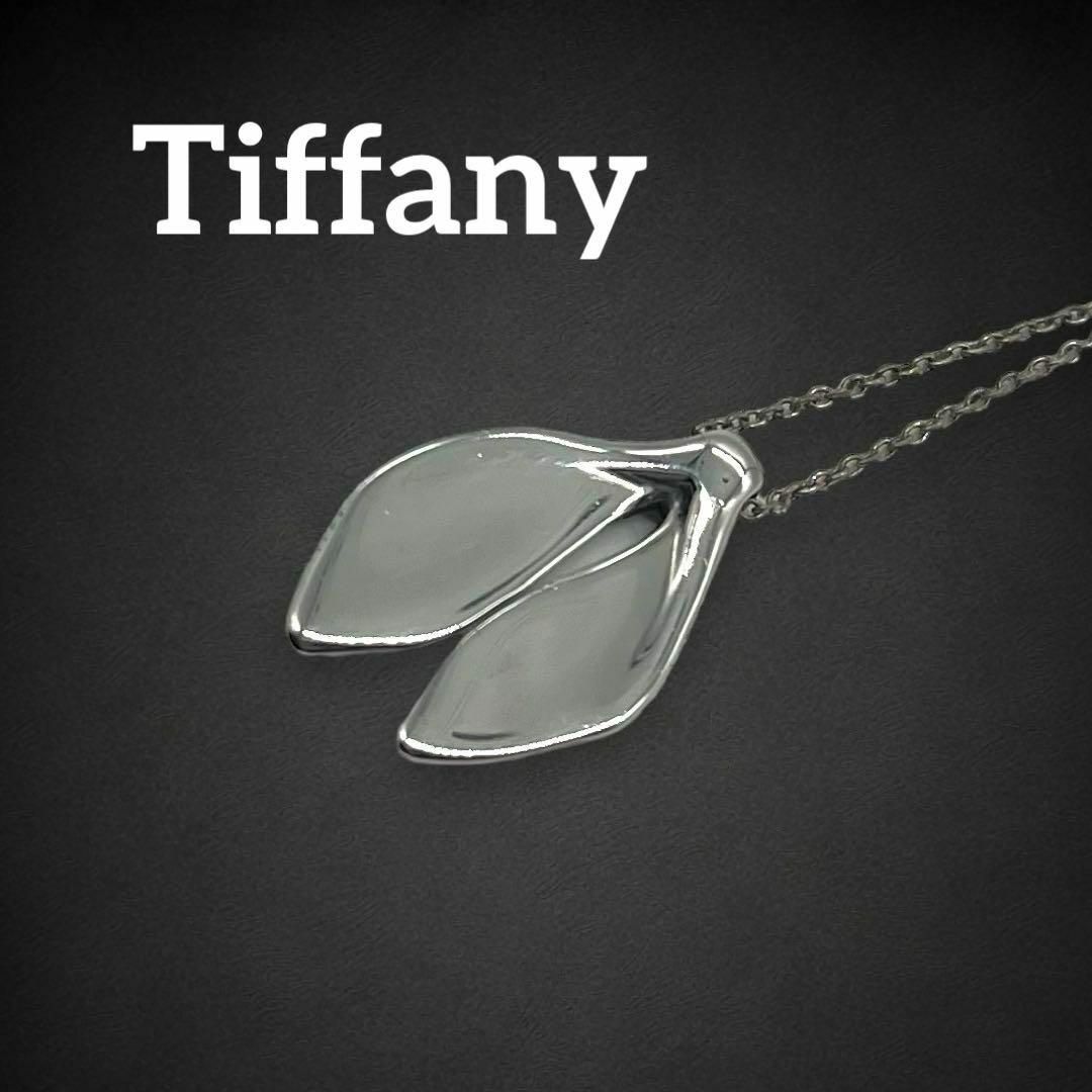 Tiffany & Co.(ティファニー)の✨希少美品✨ ティファニー ネックレス ホエールテール シルバー 551 レディースのアクセサリー(ネックレス)の商品写真