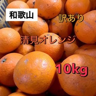 大人気　和歌山　あま〜い　清見オレンジ　10kg 送料無料　訳あり(フルーツ)