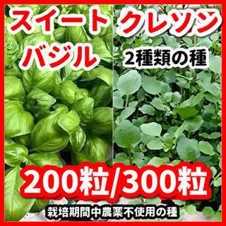 スイートバジル＆クレソンの種【2種類セット】栽培期間中農薬不使用の種令和5年9月(その他)