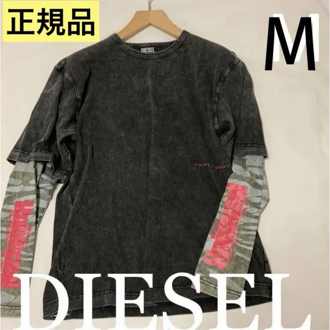 DIESEL(ディーゼル)の洗練されたデザイン　DIESEL高級シリーズ　T-Schul　M　正規品 メンズのトップス(Tシャツ/カットソー(七分/長袖))の商品写真