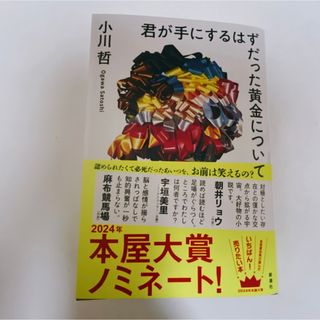 君が手にするはずだった黄金について(文学/小説)