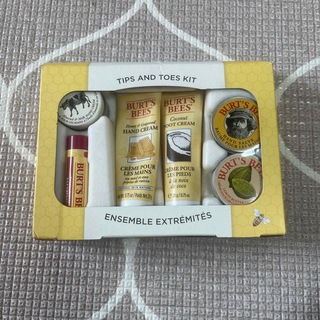 BURT'S BEES TIPS AND TOES KIT