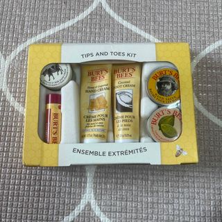 BURT'S BEES TIPS AND TOES KIT