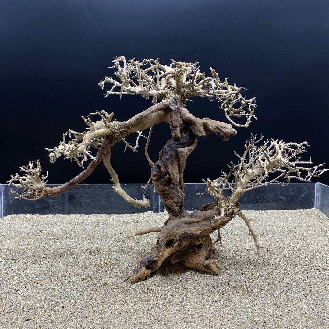 BM-5297 盆栽流木 流木 アクアリウム