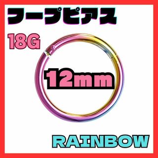 18G 12mm　レインボー フープ ピアス セグメント サージカルステンレス(ピアス(両耳用))