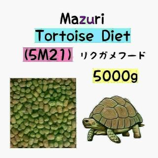 マズリ リクガメフード 5000g トータスダイエット 5M21(ペットフード)