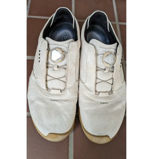 エコー(ECCO)のecco ゴルフシューズ　biom  GORE-TEX サイズ43(その他)