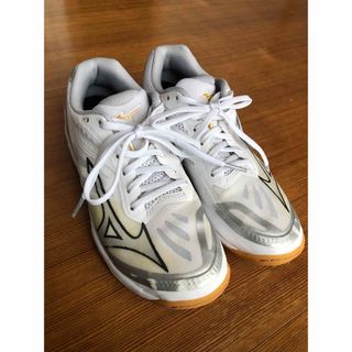 ミズノ(MIZUNO)のバレーボールシューズ　ミズノフライ　MIZUNO FLY 23.5(バレーボール)