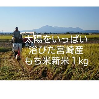 もち米　太陽をいっぱい浴びた宮崎産　１kg