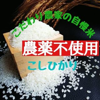 こだわり農家の自慢米  白米5㎏✕2袋(無農薬栽培)　　　　　令和5年産(米/穀物)