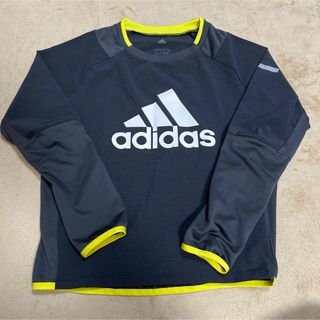 adidas - adidas ピステ　140