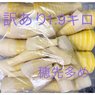 タケノコ  筍　たけのこ　水煮　訳あり　1.9キロ  C(野菜)