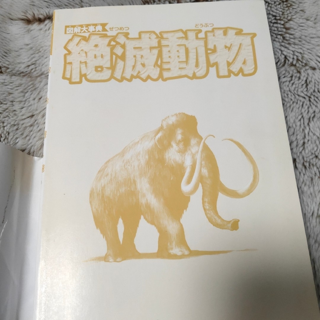 図解大事典 絶滅動物　加藤英明 エンタメ/ホビーの本(絵本/児童書)の商品写真