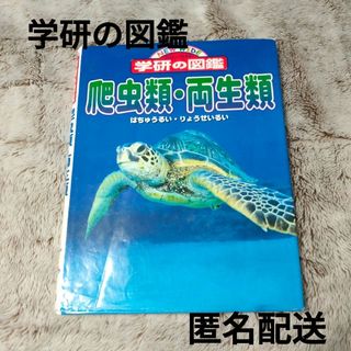 ガッケン(学研)の学研の図鑑　爬虫類・両生類(絵本/児童書)