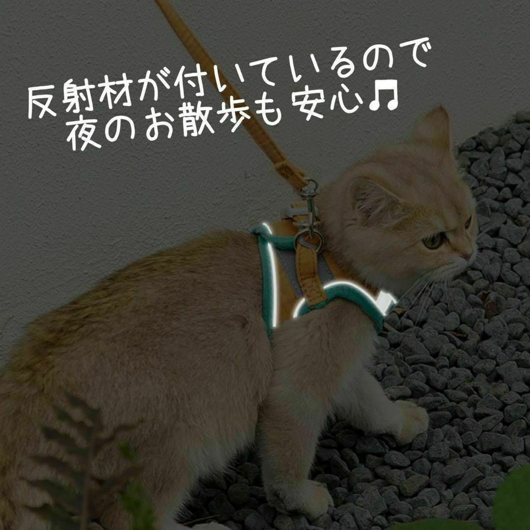 M ブルー　青　オレンジ　リード　ハーネス　猫　小動物　ペット　散歩 その他のペット用品(猫)の商品写真