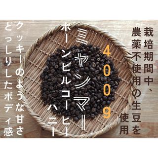 ミャンマー　ホーンビルコーヒーハニー　自家焙煎コーヒー豆　400g(コーヒー)