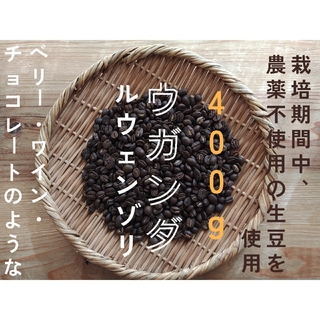 スペシャルティコーヒー　ウガンダ　ルウェンゾリ　自家焙煎コーヒー豆　400g(コーヒー)