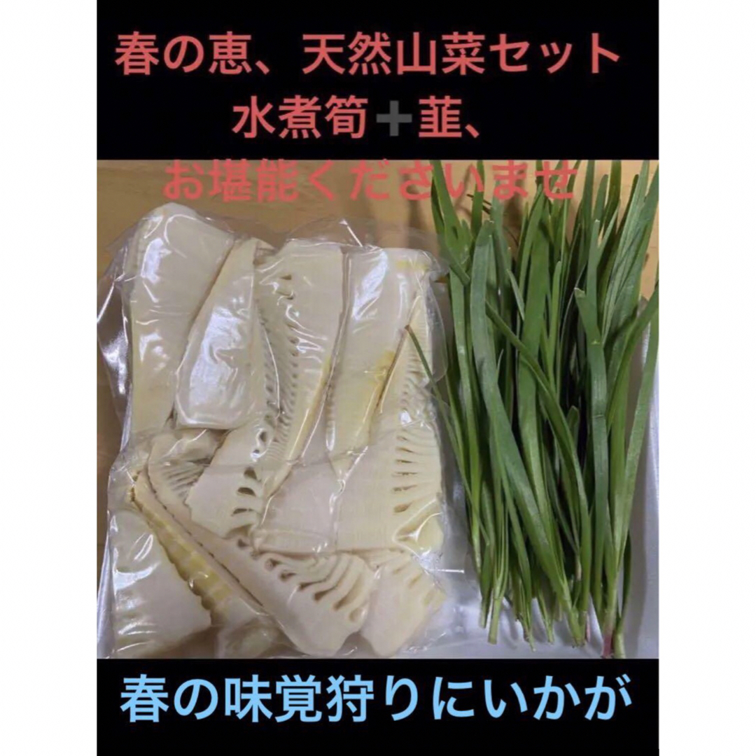 　　春の恵セット  ■水煮の筍、　500ｇ+〆■山菜　ニラ　60g 食品/飲料/酒の食品(野菜)の商品写真