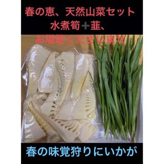 　　春の恵セット  ■水煮の筍、　500ｇ+〆■山菜　ニラ　60g(野菜)