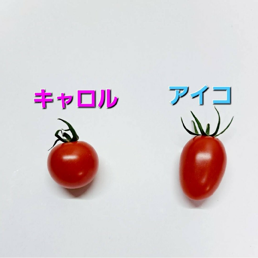 和歌山県産 キャロル＆アイコ 計３kg 食品/飲料/酒の食品(野菜)の商品写真