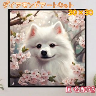 ダイヤモンドアートキット56   30cm×30cm 犬