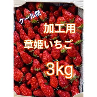 加工用 章姫いちご 3kg  クール便(フルーツ)