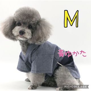 ♥️新品未使用♥️ 犬服M  濃い青色の浴衣　男の子　祭り　可愛い(犬)