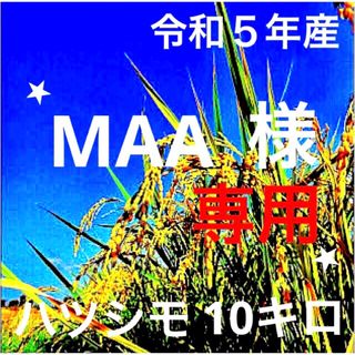 ⭐️MAA様専用⭐️R５✳️５回選別・有機肥料・送料無料・無添加ハツシモ10キロ(米/穀物)