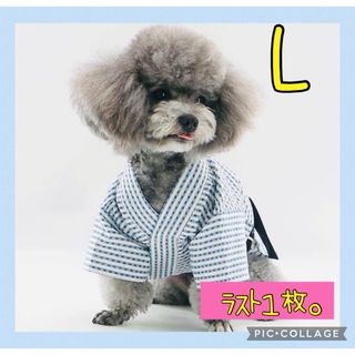 ♥️新品未使用♥️ 犬服L  薄い青色の浴衣　男の子　祭り　可愛い(犬)