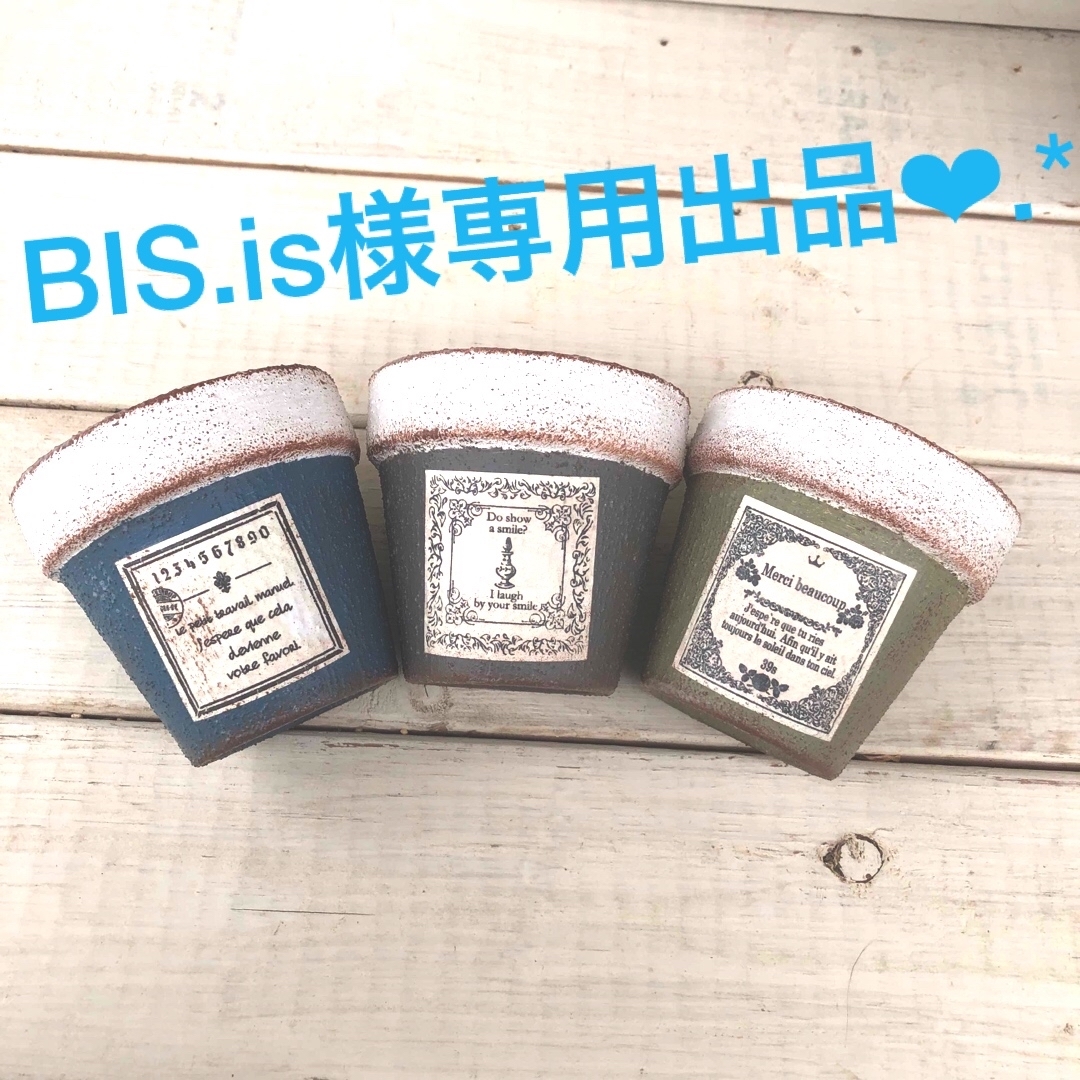 リメイク鉢☆BIS.is様専用出品❤︎.* ハンドメイドのフラワー/ガーデン(その他)の商品写真