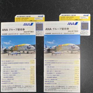 エーエヌエー(ゼンニッポンクウユ)(ANA(全日本空輸))のANAグループ株主優待券(その他)