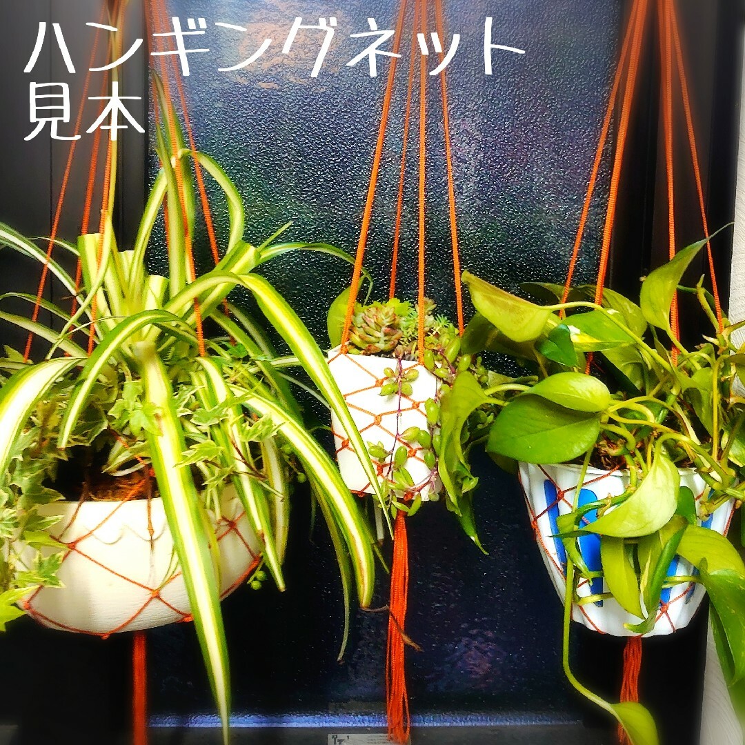 🌵観葉植物用 ハンギングネット🌵 ハンドメイドのフラワー/ガーデン(その他)の商品写真