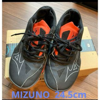 MIZUNO - MIZUNOバトミントンシューズ24.5cm ミズノ　ウェーブクロー EL2